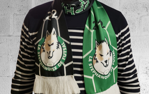 Echarpe du supporter