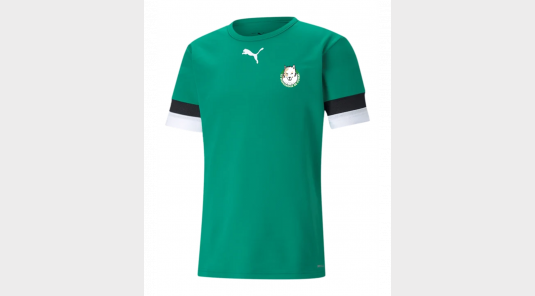 Maillot de match